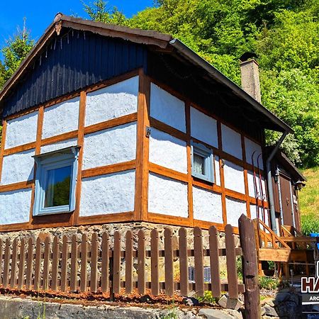 Zorge Arode Huette Harzilein - Romantic Tiny House On The Edge Of The Forest מראה חיצוני תמונה