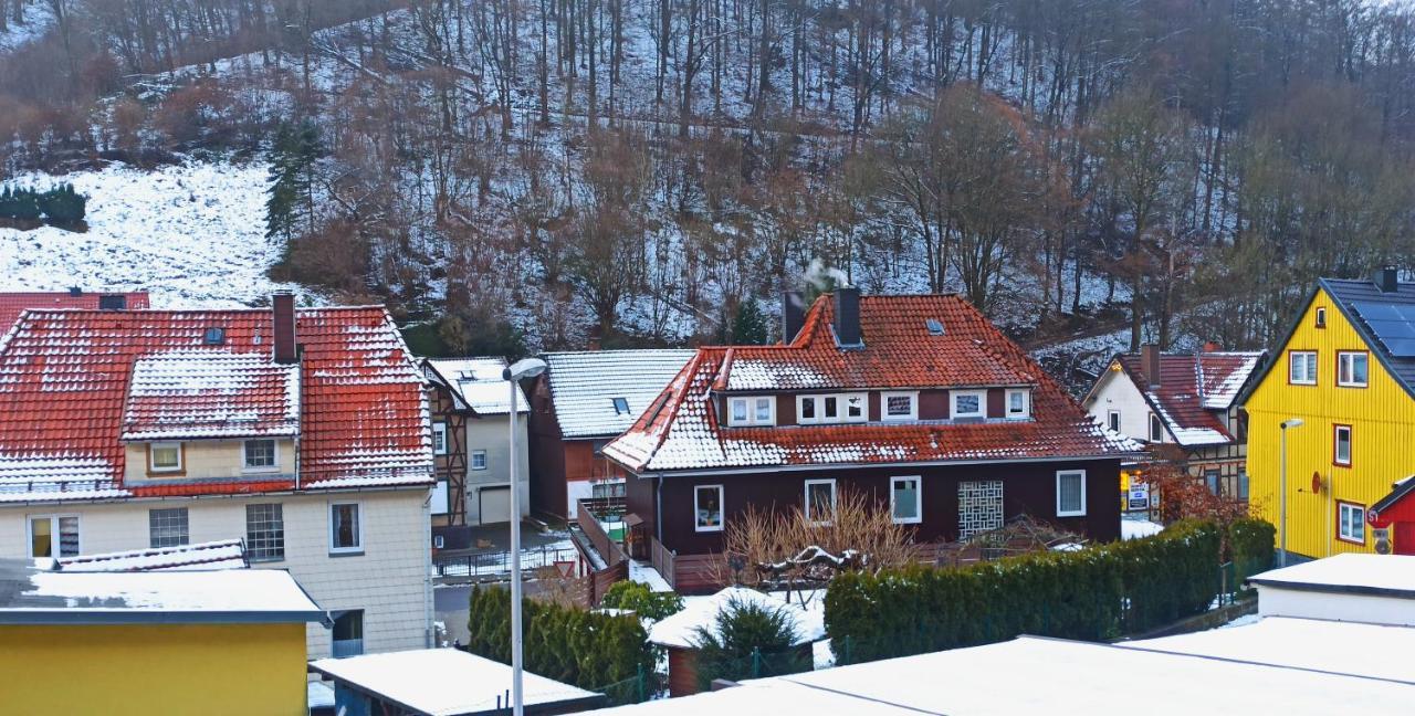 Zorge Arode Huette Harzilein - Romantic Tiny House On The Edge Of The Forest מראה חיצוני תמונה